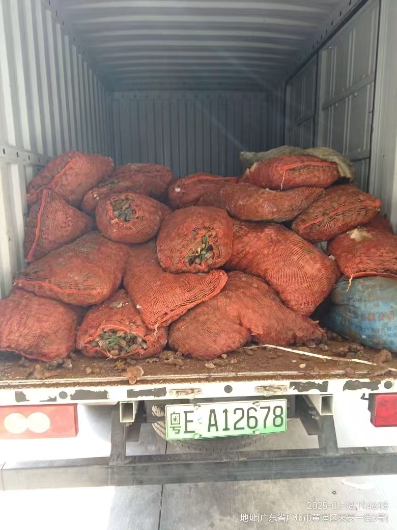 佛山菊芋销毁，库存积压食品销毁 
