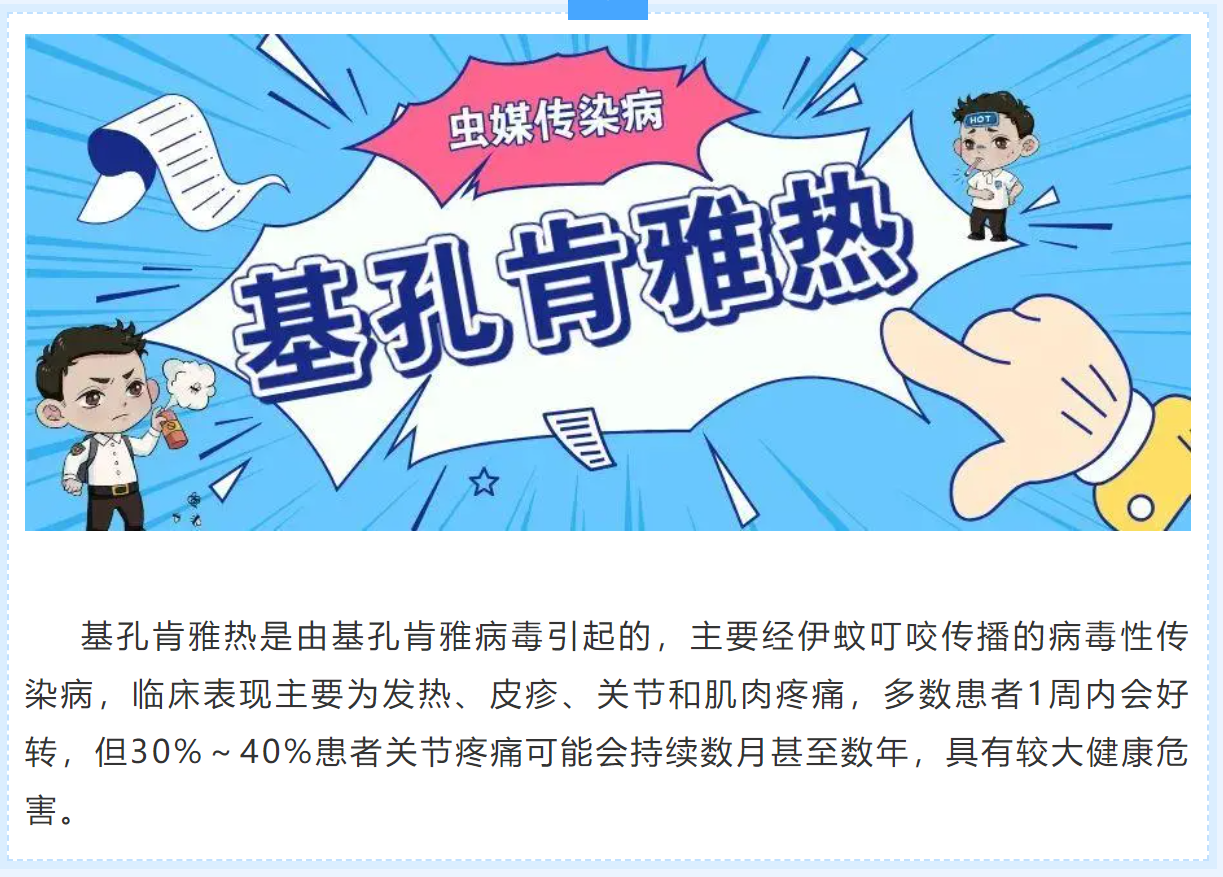 基孔肯雅热的预防与认识！